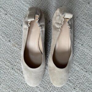 Everlane lightly worn pumps.